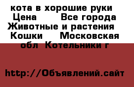 кота в хорошие руки › Цена ­ 0 - Все города Животные и растения » Кошки   . Московская обл.,Котельники г.